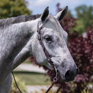 Schneiders® Teardrop Basketweave One Ear Headstall