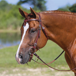 Schneiders® Latigo Lined Futurity Browband Headstall