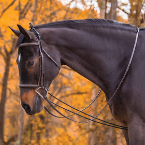 Dura-Tech® Heavy Neck Stretcher