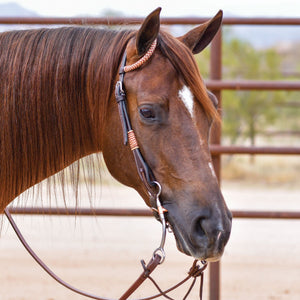 Schneiders® Harness Leather One Ear Headstall with Rawhide Accents
