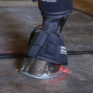 Schneiders® EquiCare LED Therapy® Red Light Bell Boots - Pair