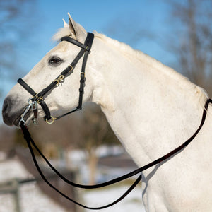 Dura-Tech® All Weather Trail Halter and Bridle Combo