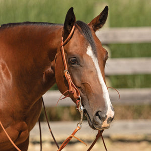 Schneiders® Pineapple Knot Quick Change Short Cheek One Ear Headstall