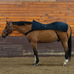Schneiders® EquiCare LED Therapy® Red Light Back and Hip Pad