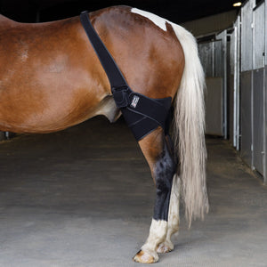 Schneiders® EquiCare LED Therapy® Red Light Stifle Wrap