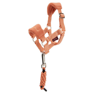 variant_image_apricot