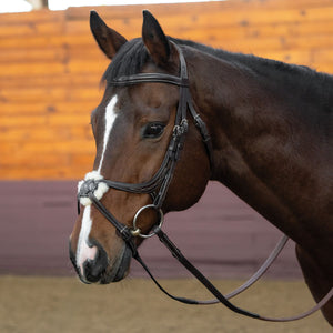 Schneiders® Ergonomic Monocrown Figure 8 Bridle with Removable Fleece