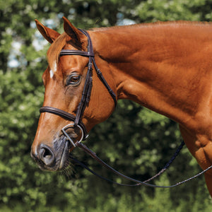 Schneiders® Raised Fancy Stitch Hunter Bridle with Black Padding