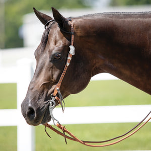 Billy Royal® Rolled Leather Double Ear Headstall with Black Studs
