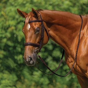 Schneiders® Raised Padded Hunter Bridle with Fancy Stitching