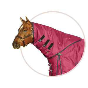 variant_image_burgundy