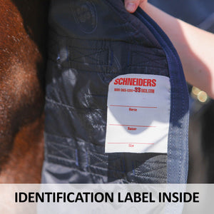 45722 feature L overlay