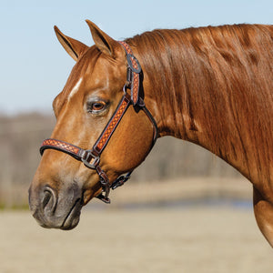 Schneiders® Tooled Diamond Padded Leather Ranch Halter