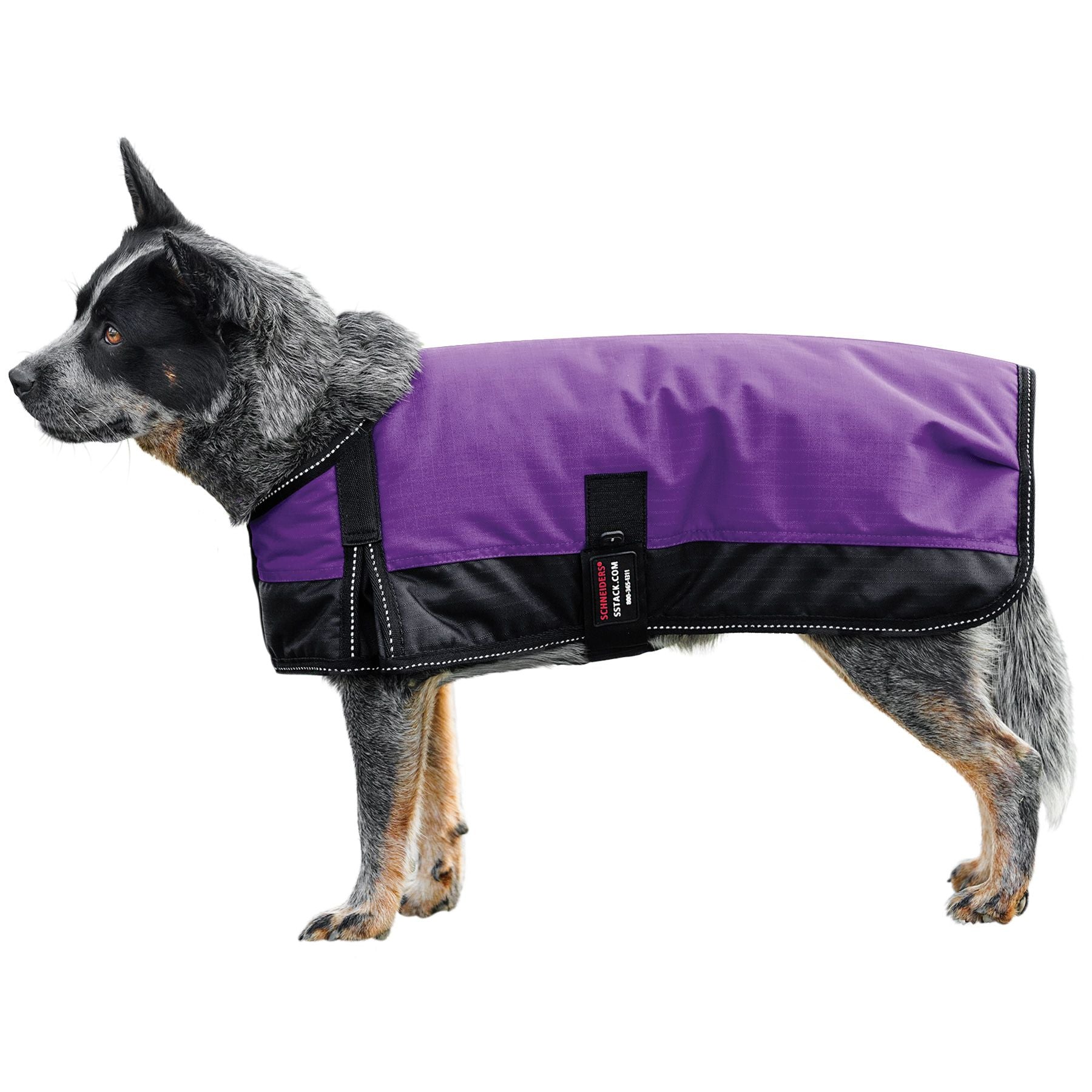 Schneiders® Insulated Waterproof Reflective Dog Coats II