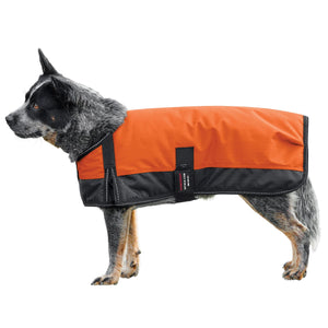 variant_image_merge_45965_orange