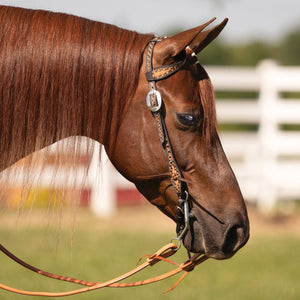 Schneiders® Black Edged Ribbon Tooled One Ear Headstall