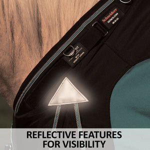 46169c feature L overlay