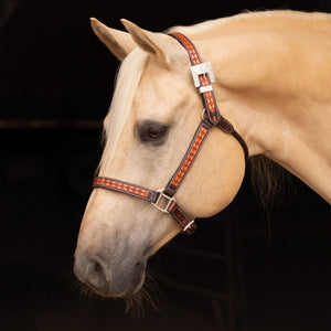 Schneiders® Sunburst Ranch Western Show Halter