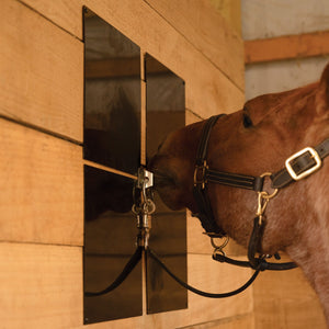 Schneiders® Easy-Up® 12