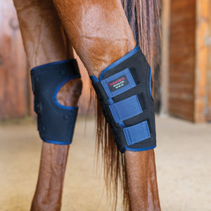 Schneiders® Magnetic Therapy Hock Wraps