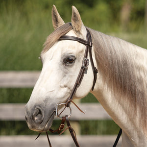 Billy Royal® Canyon Ridge Browband Ranch Headstall