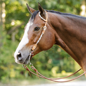 Schneiders® Two Ear Silver Plated Concho Western Show Headstall