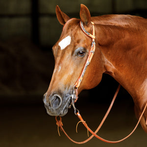 Schneiders® Two Ear Silver Plated Western Show Headstall