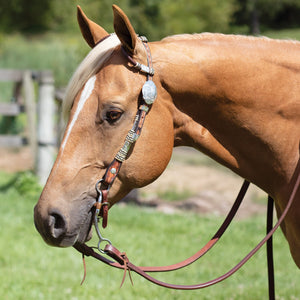 Schneiders® Two Ear Tooled Show Headstall with Rawhide Accents