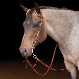 Schneiders® Harness Leather Two-Ear Headstall with Chocolate Rawhide Accents