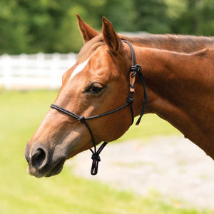 Schneiders® Rope Halter with Safety Breakaway Tab