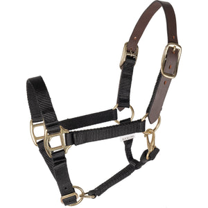 Schneiders® Nylon Breakaway Foal Halter