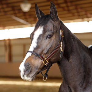 Schneiders® Leather and Rope Nose Combo Control Halter