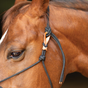 Schneiders® Leather Breakaway Tabs for Rope Halters - Set of 4