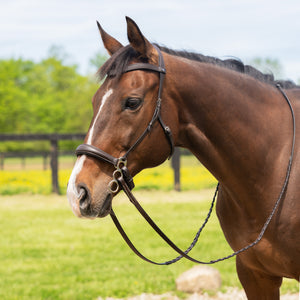 Schneiders® Ergonomic Leverage Hackamore English Headstall