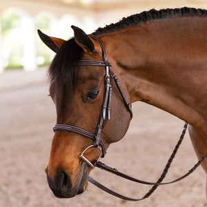 Schneiders® Pro Series Classic Hunter Bridle with Fancy Stitching