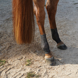 variant_image_merge_46539_black