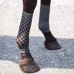 variant_image_merge_46540_black