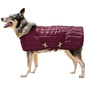 variant_image_merge_46585_burgundy