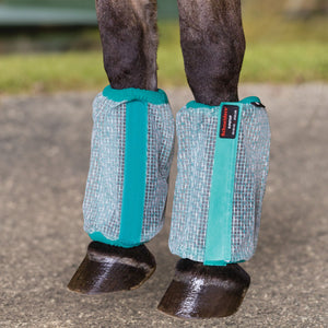 variant_image_teal