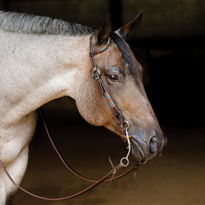 Schneiders® Turquoise Rawhide Rolled One Ear Headstall