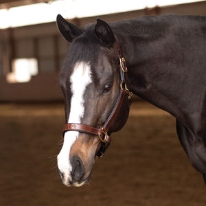 K3DE Padded Leather Halter