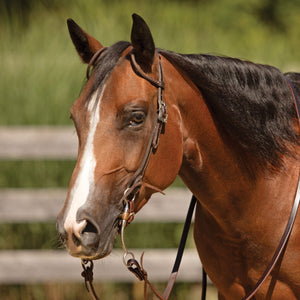 Billy Royal® Canyon Ranch Two Ear Ranch Headstall