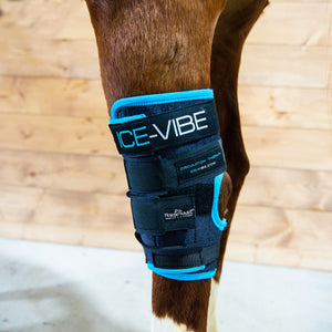 Horseware® Ice-Vibe® Circulation Therapy Hock Wraps