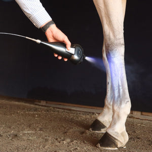 America Cryo Subzero Equine Cryotherapy