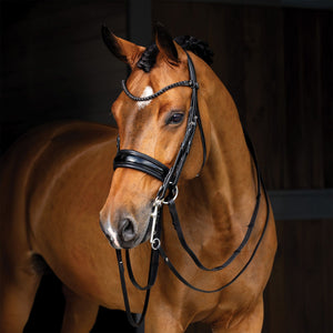 LeMieux® Kudos Dressage Double Bridle