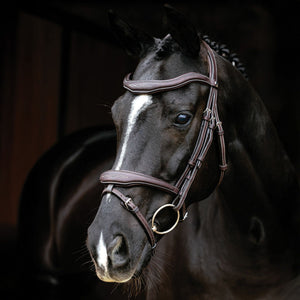 LeMieux® Kudos Contour Flash Bridle