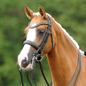 Passier® Blu Dream Double Bridle with Stainless Steel Fittings