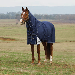 variant_image_merge_47922