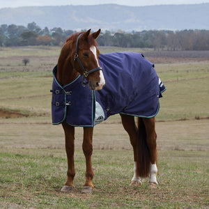 Weatherbeeta® ComFiTec® Plus Dynamic Standard Neck 100G Lightweight Turnout Blanket
