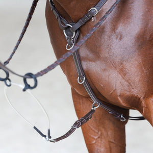 The Zentora SoftTurn™ Break-Away Martingale System by JP